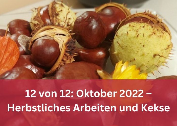 12 von 12: Oktober 2022 – Herbstliches Arbeiten und Kekse 🍂💖